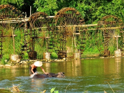 Mùa vàng Tây Bắc