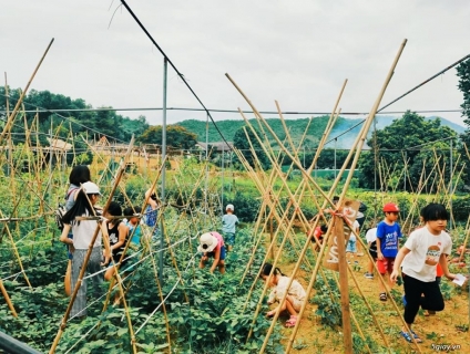 Dã ngoại an toàn