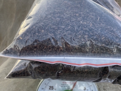 phân Dơi tự nhiên nguyên chất