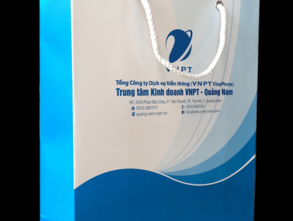 In túi giấy tại Đà Nẵng, in nhanh, rẻ, đẹp