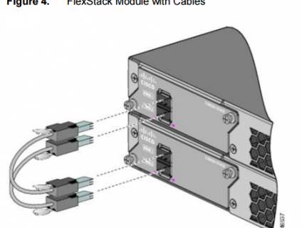 Mỗi mô-đun FlexStack hỗ trợ hai cổng FlexStack.