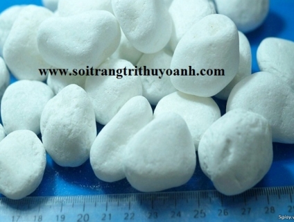 Cung cấp sỏi trang trí - giá tốt nhất 5s