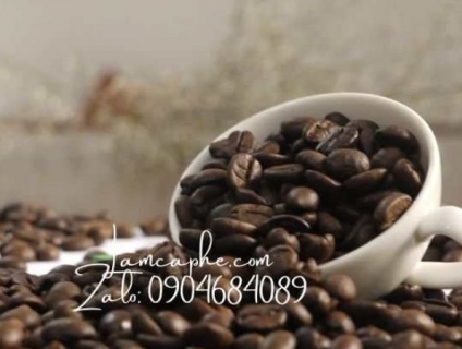 Cung cấp cà phê nguyên chất giá sỉ Bình Dương 12 tháng không đổi