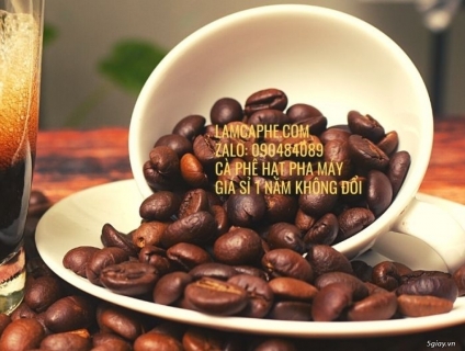 Cà phê mộc tại Bình Thuận giá sỉ 12 tháng không đổi giao hàng nhanh