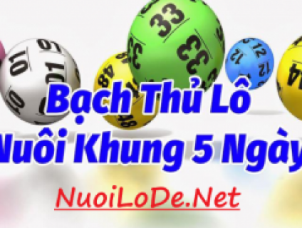 Nuôi lô đề - Soi cầu 247 -  Soi cầu bạch thủ lô khung 5 ngày