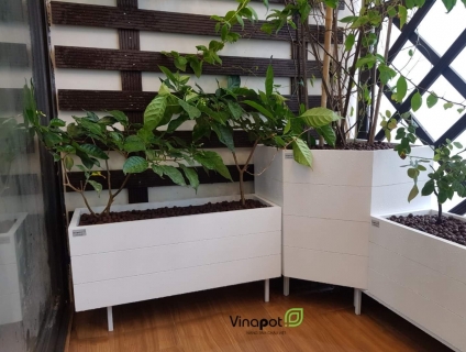Chậu gỗ nhựa composite vát góc Vinapot