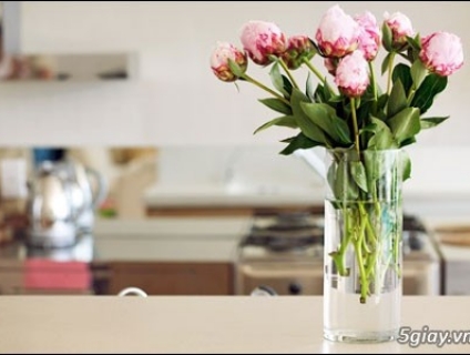 Cách Giữ Hoa Tươi Lâu Bạn Cần Phải Biết