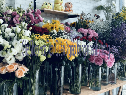 Ghé Shop Hoa Tươi Quận 3 giao hàng nhanh chóng
