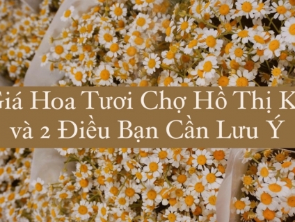 2 Điều Cần Lưu Ý Khi Tìm Hiểu Về Giá Hoa Tươi Hồ Thị Kỷ