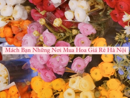 Mách Bạn Những Nơi Mua Hoa Tươi Giá Rẻ Hà Nội