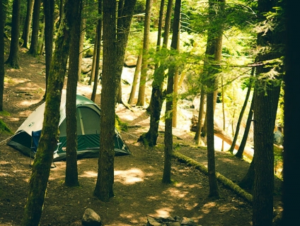 Cho thuê lều chất lượng kèm theo gói COMBO siêu tiện lợi