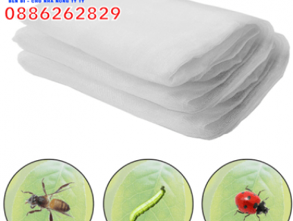 Lưới chắn côn trùng giá rẻ - Nhà lưới trồng rau công nghệ cao