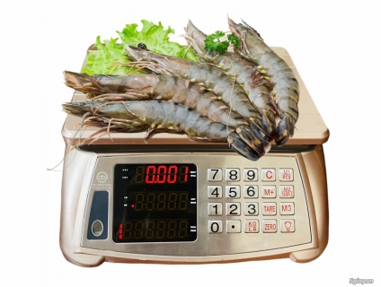 Cân điện tử  Đại thành dùng cân hải sản siêu chính xác