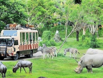 Vé Safari Phú Quốc với kênh đặt vé GiaoDe.Com