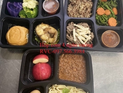 Hộp Nhựa Đựng Cơm Dùng 1 Lần Gía Sỉ giá tốt tại hệ thống 5giay.vn