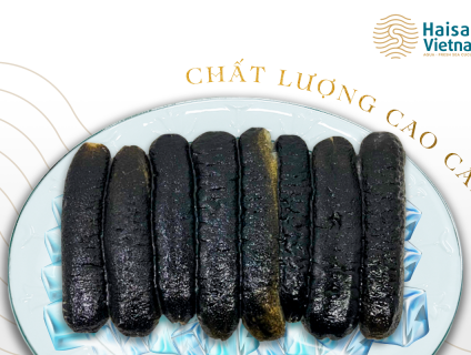 Hải Sâm Cát Đông Lạnh giá tốt tại hệ thống 5giay.vn