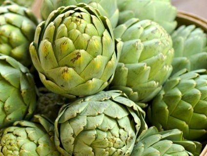 Cao khô Actiso thanh nhiệt, giải độc