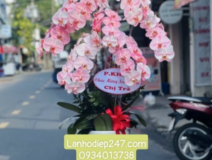 Chọn hoa sinh nhật bằng Lan Hồ Điệp, món quà ý nghĩa bất ngờ đẳng cấp