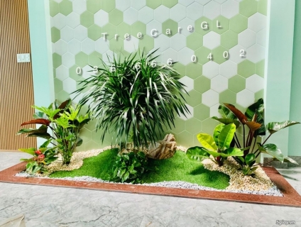 Chăm Sóc Bảo Dưỡng Cây Xanh Cảnh Quan Sân Vườn Gia Lai