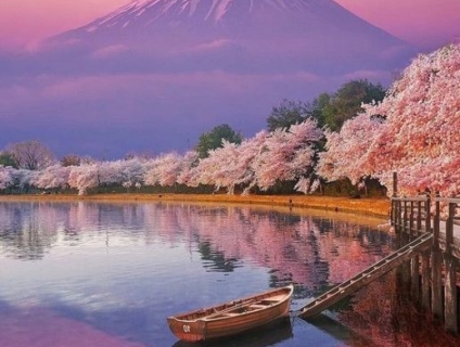 Du lịch Nhật Bản trọn gói giá rẻ