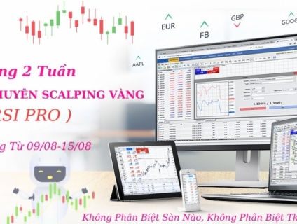 Robot và công cụ hỗ trợ giao dịch (forex)