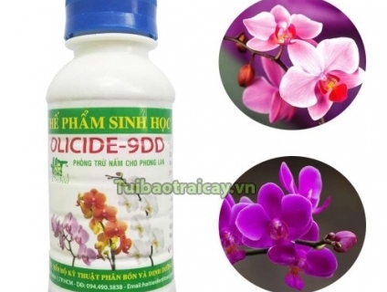 Cung cấp thuốc đặc trị thối nhũn cho vườn lan