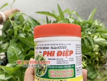 Chuyên cung cấp thuốc đặc trị thối nhũn cho lan