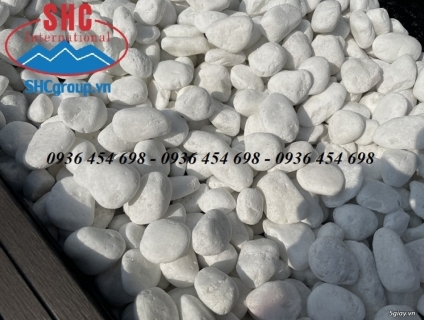 Sỏi trắng nhân tạo dùng trong tiểu cảnh