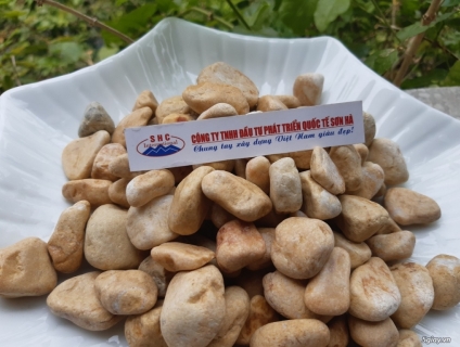 Sỏi vàng xoa trang trí sân vườn