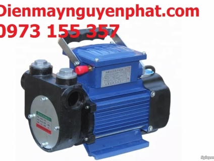 Máy bơm xăng dầu DYB80- EX,bơm xăng mini DYB-80 Ex,bơm xăng phòng nổ