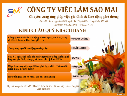 cung cấp giúp việc gia đình và LDPT uy tín Hà Nội