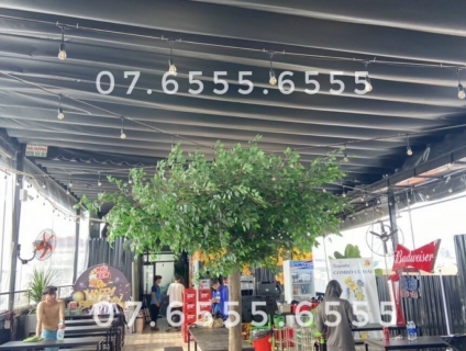 cây Si Giả Giá Rẻ