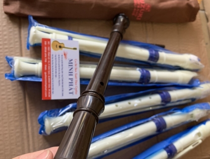 Sáo recorder cho học sinh các cấp tại tphcm