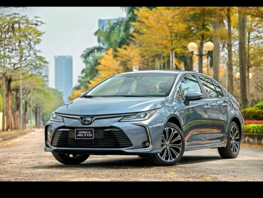 Em có vài sim cần bán