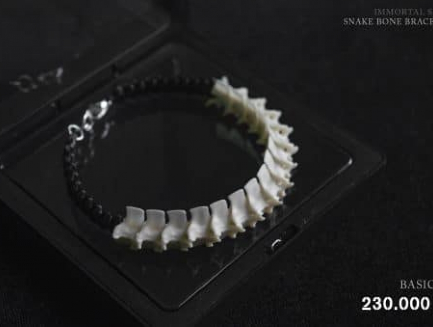 Vòng Tay Xương Rắn BASIC