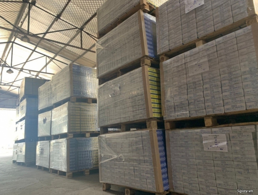 Top 3 loại sàn nhựa được ưa chuộng nhất hiện nay