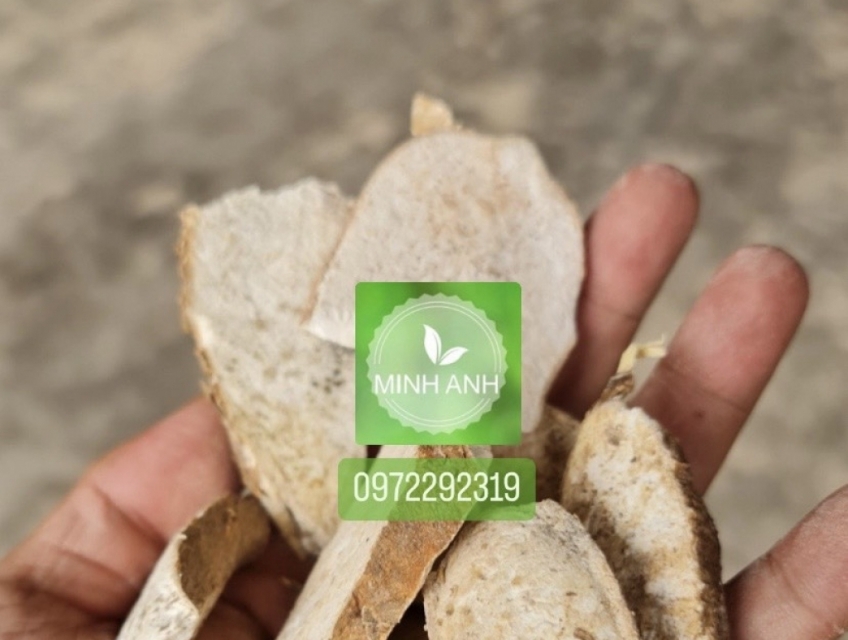 Bột sắn - TNHH Phát Triển Thương Mại Minh Anh