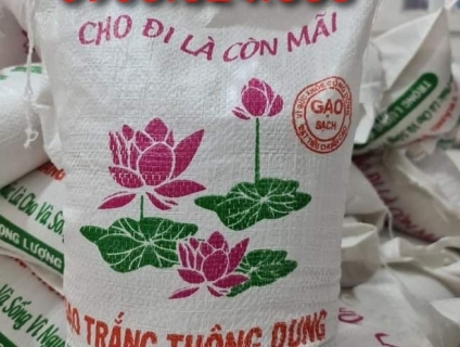 Bao đựng gạo từ thiện có sẵn, quai sách tiện dụng