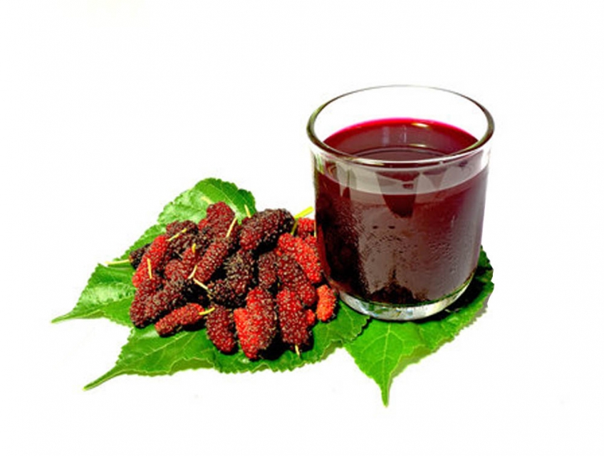 Cách chế biến các món ngon từ quả dâu tằm Đà Lạt