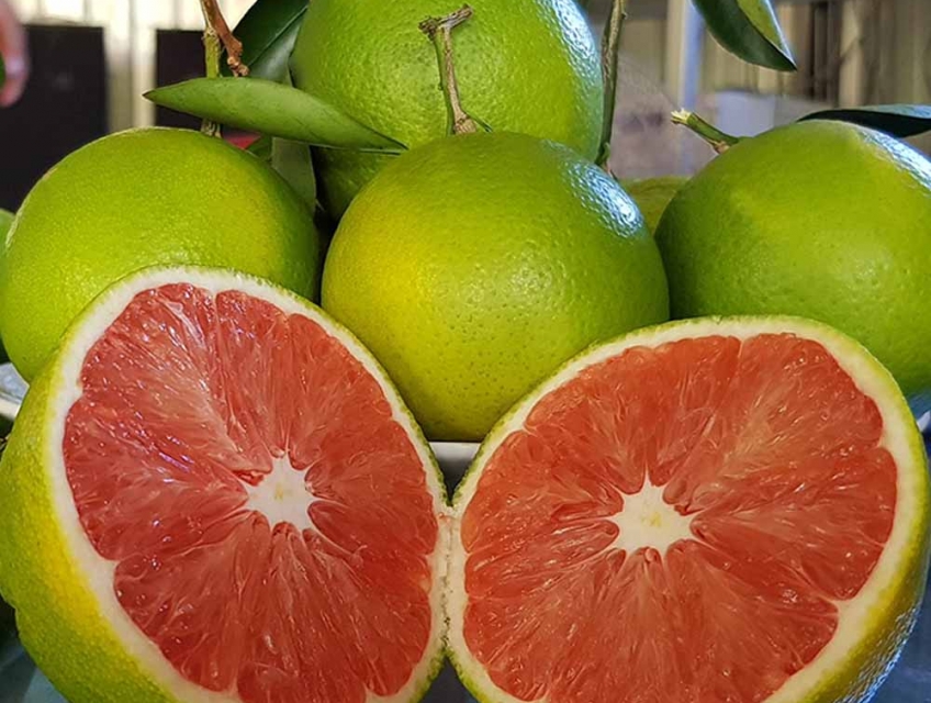 Cam cara ruột đỏ không hạt vị ngọt tự nhiên