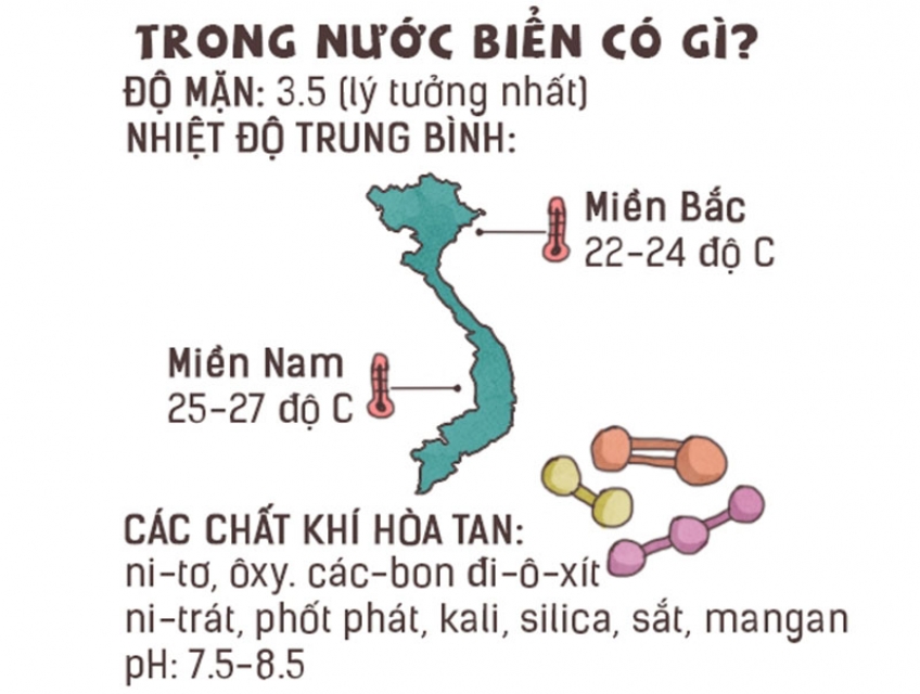 Nước Biển Có Được Dùng Làm Nước Cấp Lò Hơi Không?