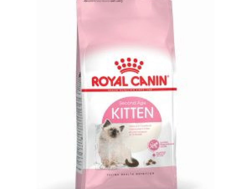 Thức ăn khô Royal Canin Kitten