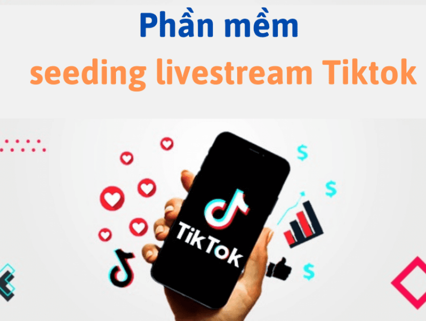 Hướng Dẫn Seeding Livestream Tiktok Hiệu Quả: Bí Kíp Tăng Doanh Thu