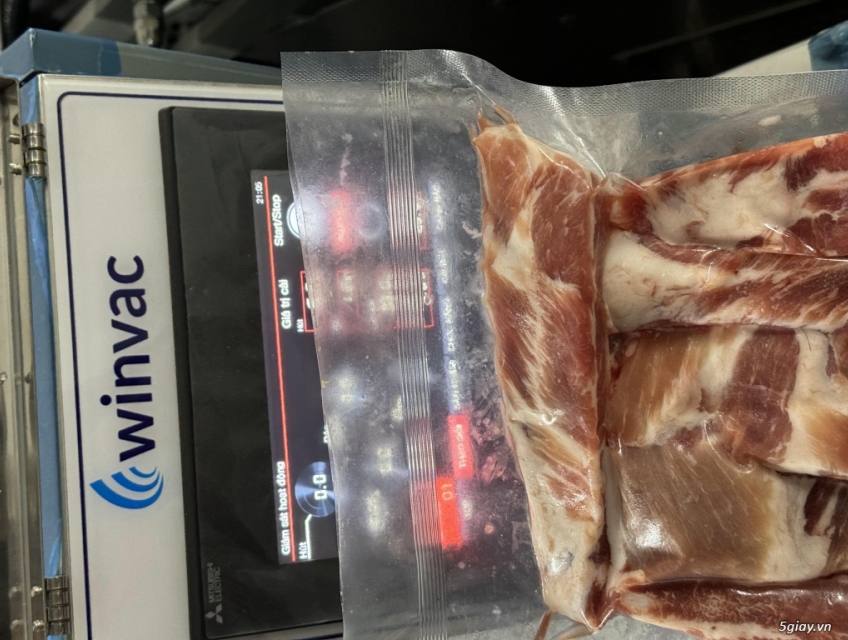 Máy hút chân không băng tải Winvac