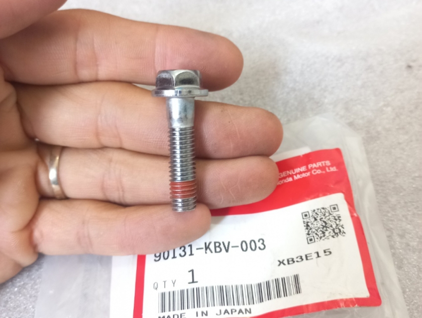 Ốc bắt heo dầu trước Sh ý ( giá 1 con )