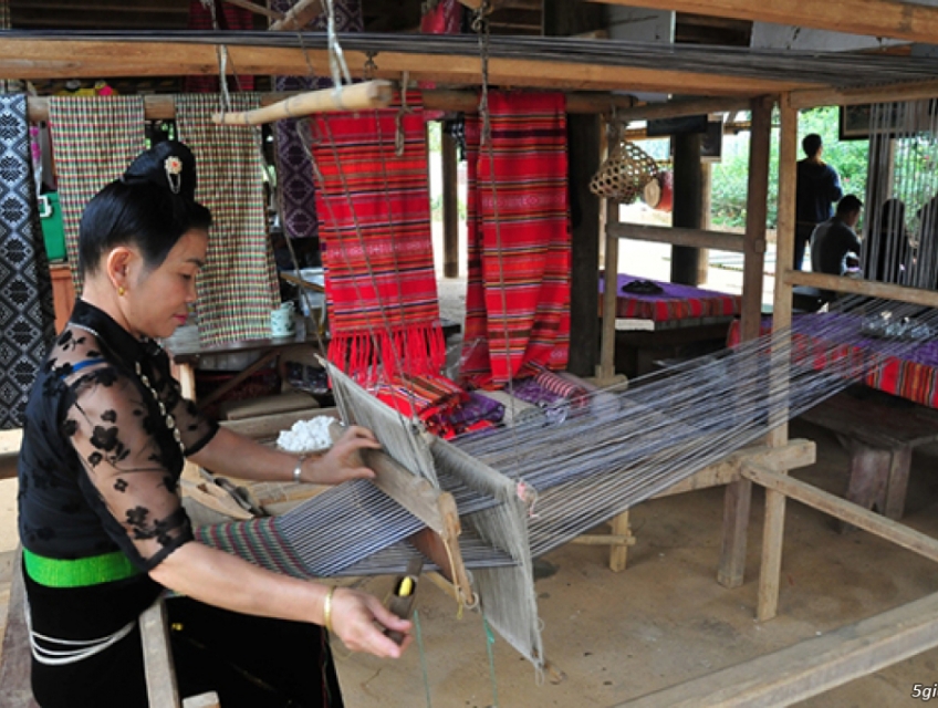 Vải hoa văn thổ cẩm họa tiết con tắc kè mua ở đâu?