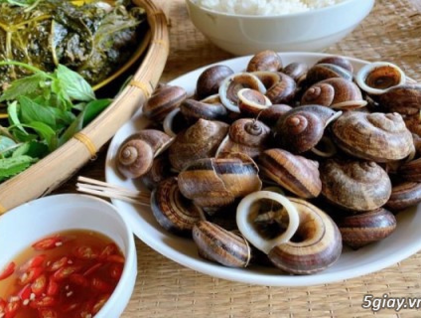 Ốc thuốc, ốc núi hay còn gọi là ốc xu núi hay còn được gọi là ốc đá