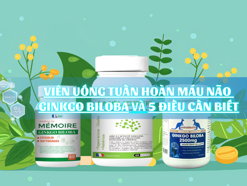 Viên uống tuần hoàn máu não Ginkgo Biloba và 5 điều cần biết
