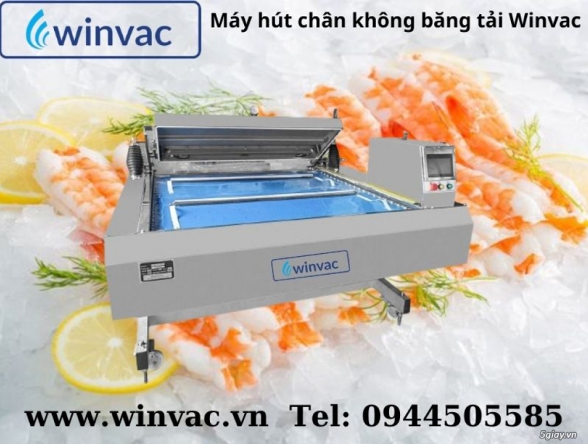 Máy đóng gói hút chân không băng tải thực phẩm Winvac