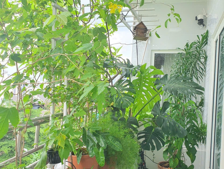 Cần bán căn hộ trung tâm quận 2 full nội thất cao cấp